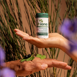 Zdrowe stawy i dobry nastrój - Suplement diety